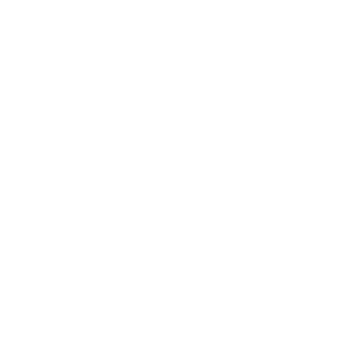 NetherCore Solutions Agency Logo